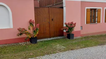 Expose Idyllisches Landhaus mit Loft-Charakter im Weinviertel