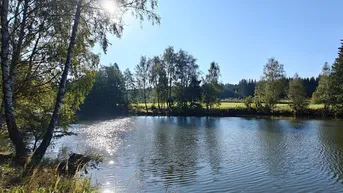 Expose Naturparadies mit großem Fischteich und autarker Hütte im wunderschönen Waldviertel