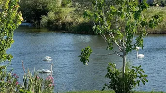 Expose Haus direkt am Wasser, Neusiedlersee, Burgenland 