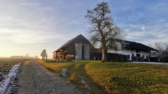 Expose Haus/ Wohnung ab Herbst 2025 bezugsfertig 