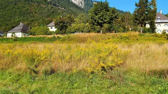 Expose Sehr sonniger Baugrund ohne Einschränkung