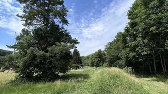 Expose Bieterverfahren- Herrliches Grundstück im Wienerwald