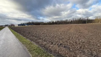 Expose Gewerbegrundstück (teilbar) in Rüstorf / nähe Schwanenstadt