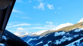 Expose When snow falls, nature listens....
