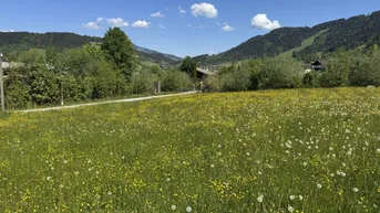 Expose Baugrundstück in Traumlage in der Niederau zu kaufen