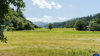 Wiese mit grüner Landschaft und Bergen im Hintergrund unter blauem Himmel.