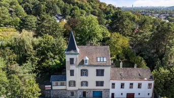 Expose Rohdiamant mit Schlosscharakter beim Bisamberg