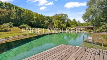 Natürlicher Schwimmteich mit Holzdeck, umgeben von üppiger Vegetation und Bäumen.