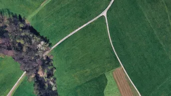 Expose 1,8 Hektar Grünland in Seekirchen Marschalln für landwirtschaftliche Zwecke und zur Kapitalanlage
