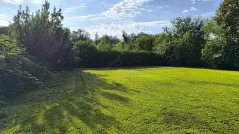 Expose Traumhaftes Baugrundstück in Rehhof/Salzburgs Süden - Leistbar, sonnig und ruhig!