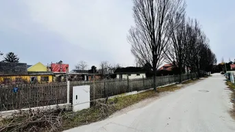 Expose Großes Grundstück mit vielen Möglichkeiten