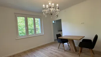 Expose Renovierte 1-Zimmer-Wohnung in Mödlings Bestlage