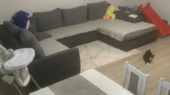 Expose Wunderschöne Wohnung in Amstetten 