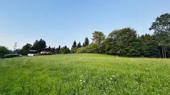Expose Seltene Gelegenheit - Sonniges Liebhaber-Grundstück mit traumhafter Aussicht am Pfänder / Bodensee