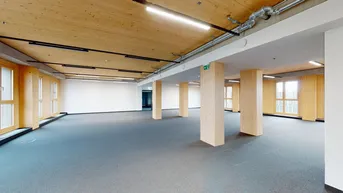 Expose Provisionsfreie Bürofläche 200qm in Seelage HoHo 1220 Wien - Preise inkl. Betriebskosten, bezugsbereit