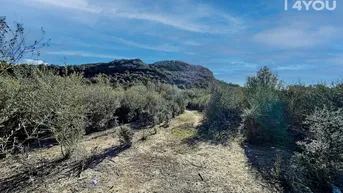 Expose Exklusives Baugrundstück in Sineu am Puig de Sant Nofre, 17.984 m² Naturidylle, 269 m² bebaubar