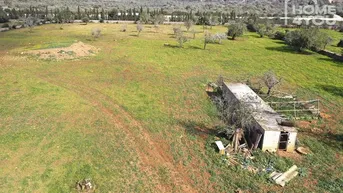 Expose Traum-Baugrundstück nahe Porto Cristo – Eine Oase der Ruhe, 17105m², Meerblick, Bestandsfinca vorh.