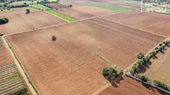 Expose Sonniges Traumgrundstück zwischen Manacor und Felanitx – 21.994 m² für Ihre 250m² Traumfinca