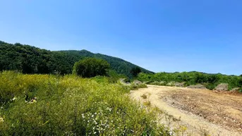 Weite Naturlandschaft mit grünen Hügeln, einem Feldweg und blühenden Wildblumen unter klarem blauem Himmel.