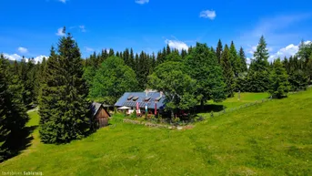 Idyllisches Anwesen in den Bergen mit weiten Wiesen und dichten Wäldern unter blauem Himmel.
