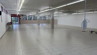 Expose Lagerraum / Lagerhalle in Stadl-Paura