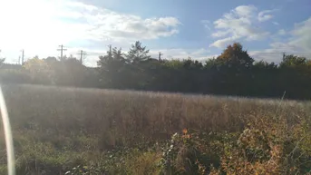 Expose Baden (NÖ): 5.630 m² Kleingartensiedlungs-Grundstück – Konzept &amp; Plan vorhanden | 18 Pacht-Interessenten | € 1.126.000