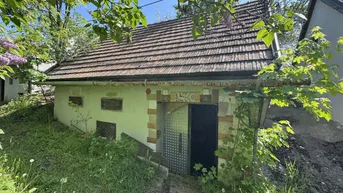 Expose Weinkeller mit Freifläche und Weingarten – Ihr Projekt für nur 9.990 €!