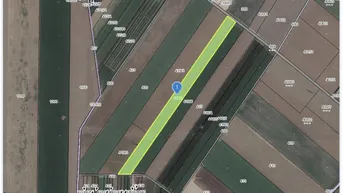 Expose Landwirtschaftliche Fläche zwischen Oberweiden und Weikendorf! Mega Chance für alle Landwirte