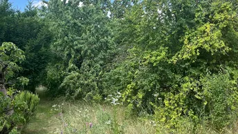 Expose PROVISIONSFREI! Baugrundstück im Herzen von Neusiedl am See
