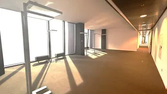 Expose DC-TowerArbeiten mit dem besten Blick über Wien