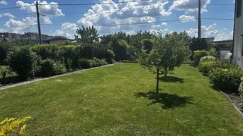 Gepflegter Garten mit Rasenfläche, jungen Bäumen und Hecken unter blauem Himmel.