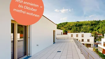 Expose marena - Wohnen in Krems Haus 75b | 3-Zimmer-Dachgeschoßwohnung mit großer Terrasse