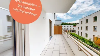 Expose marena - Wohnen in Krems Haus 75b | 2-Zimmer-Wohnung mit Terrasse in Südlage