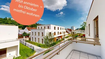 Expose marena - Wohnen in Krems Haus 75b | 2-Zimmer-Wohnung mit ostseitigem Balkon