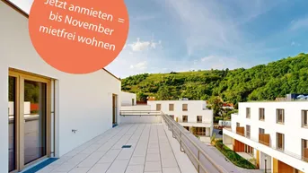 Expose marena - Wohnen in Krems Haus 75b | 3-Zimmer-Dachgeschoßwohnung mit großer Terrasse