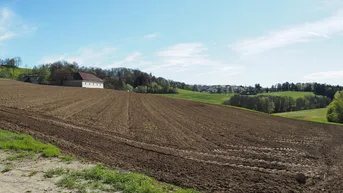 Expose [PROVISIONSFREI] Baugrund in traumhafter Lage in Neulichtenberg/ Tischlerweg mit top Anbindung!
