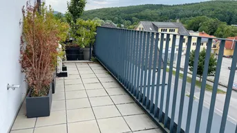 Expose 3 Zimmer Terrassenwohnung