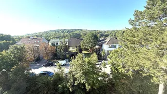 Expose Helle Dachgeschoßwohnung in Mödling mit schönem Grünblick auf den Anninger