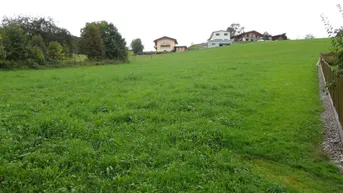 Expose Sonniger und ruhiger Baugrund in unverbaubarer Panoramalage von Goldegg - 1251 m²