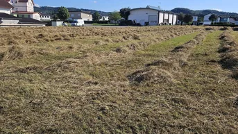 Expose Gewerbegrundstück 2700 m² teilbar ab 200 m² in Neuhofen