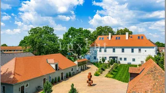 Expose Modrá Hůrka – renoviertes Schloss auf einem Grundstück von 3.950 m², Hluboká nad Vltavou