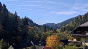 Panoramablick über ein grünes Tal mit bewaldeten Hügeln und einigen Häusern unter blauem Himmel.