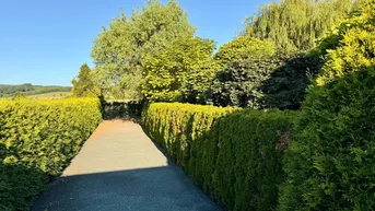Expose Barrierefreier Bungalow mit grossem, eingewachsenen Parkgrundstück im Südburgenland