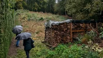 Expose Großes unbebautes Grundstück in Landskron (Gratschach) am Fuße der Burg Landskron für Privat oder Bauträger