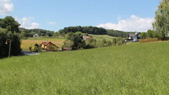 Expose Baugrund (Größe 3711 m2) in Pöllau bei Gleisdorf zu verkaufen