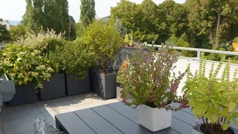 Expose Dachgeschossmaisonette mit einer Traumterrasse