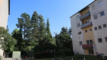 Expose Renovierte Eigentumswohnung in Leonding: 4 Zimmer - sofort beziehbar
