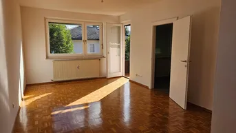 Expose Ruhiger Grünblick