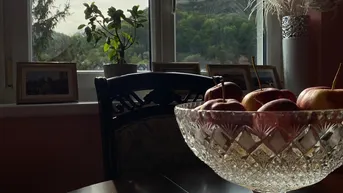 Expose 2-Zimmer renovierte Wohnung mit Blick auf die Burg