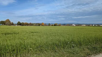 Expose Verkaufe Acker / landwirtschaftliche Nutzfläche